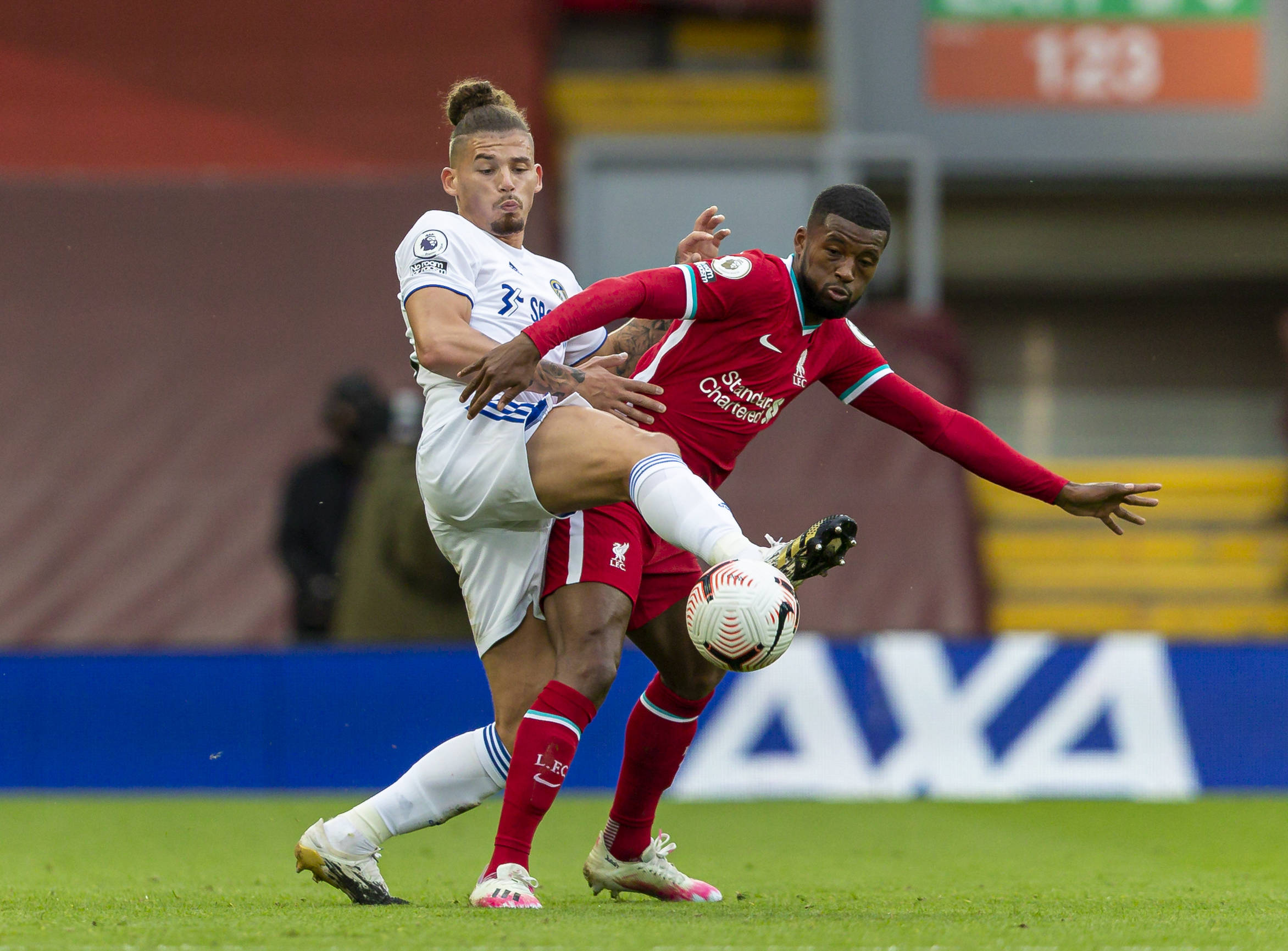 以其独特的 以其独特的